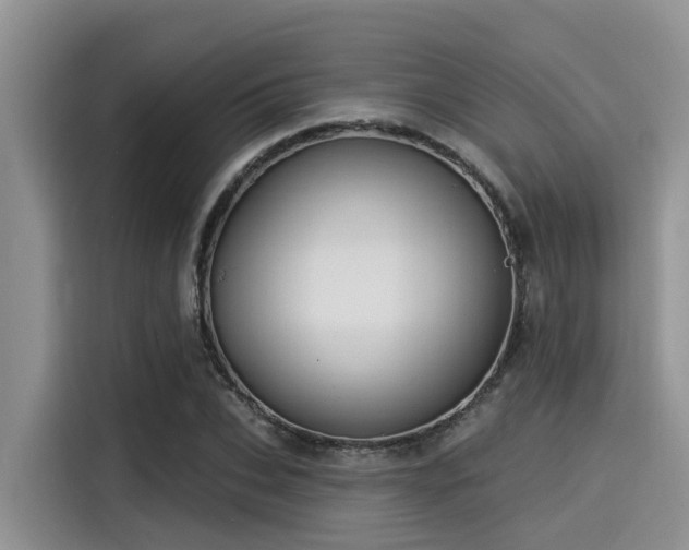 X0000115430927200911121100