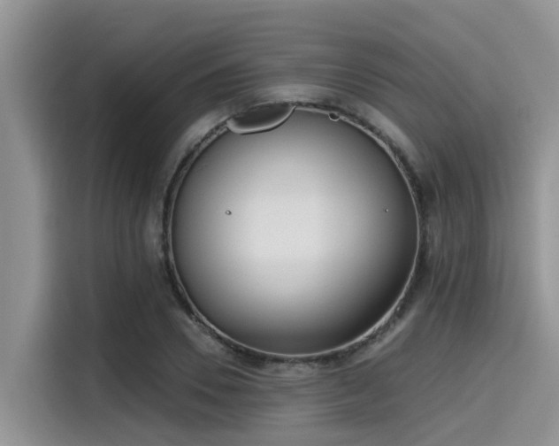 X0000115430930200911121100