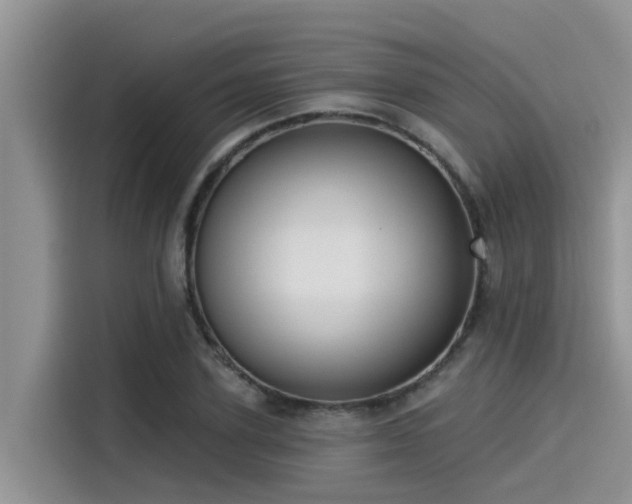 X0000115430931200911121100