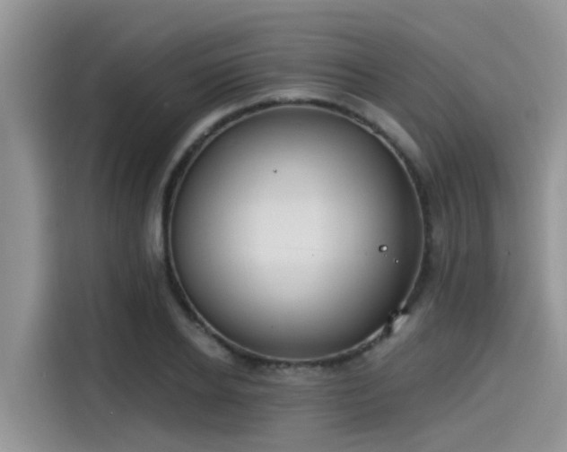 X0000115430934200911121100