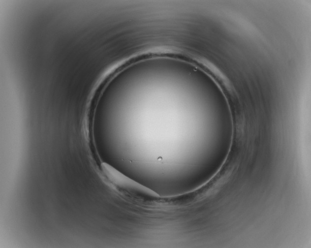 X0000115430935200911121100