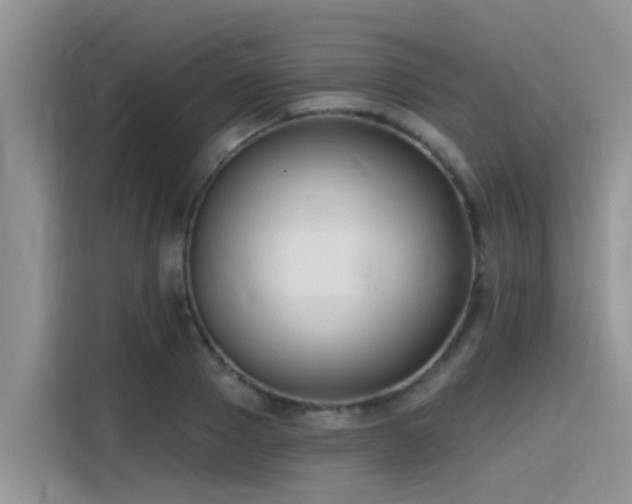 X0000115430937200911121100