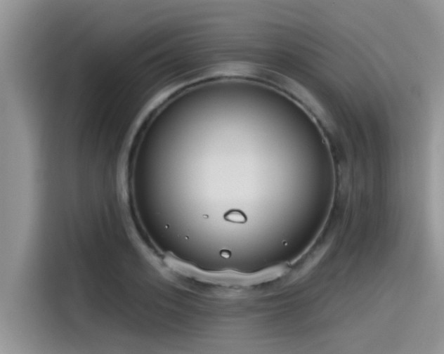 X0000115430939200911121100