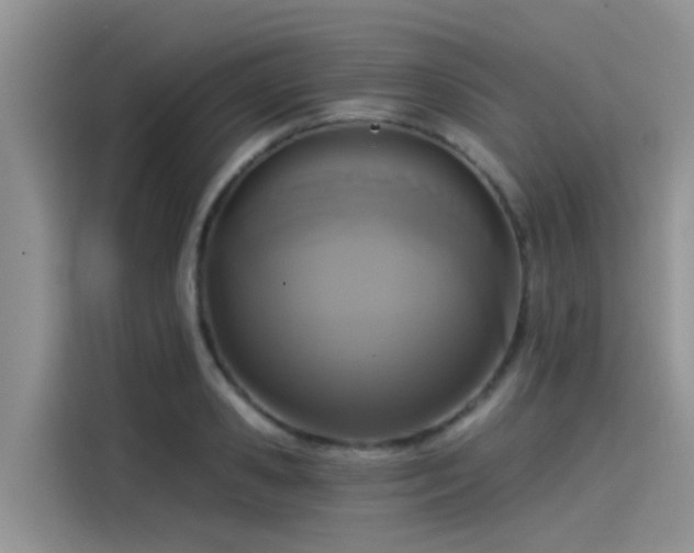 X0000115430941200911121100