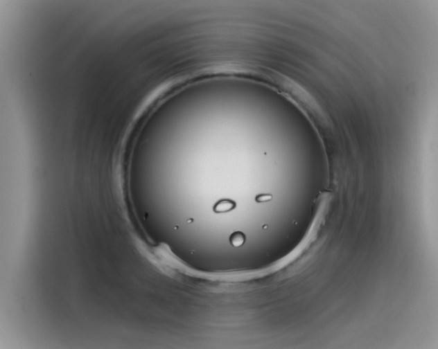 X0000115430942200911121100