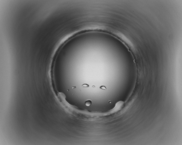 X0000115430943200911121100