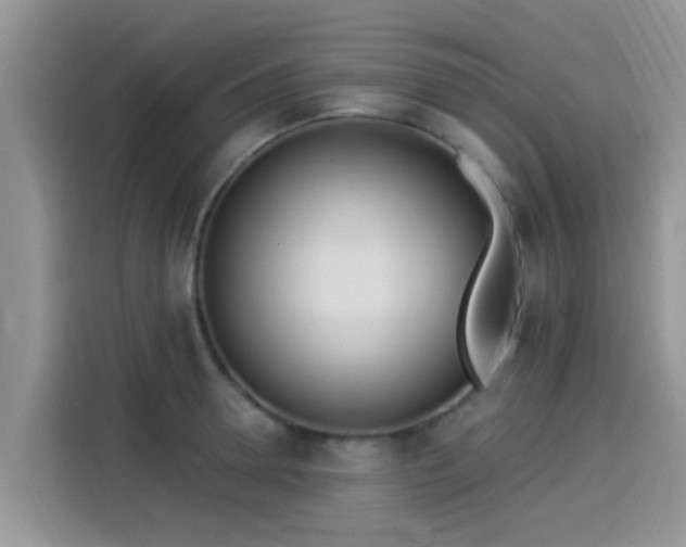 X0000115430946200911121100