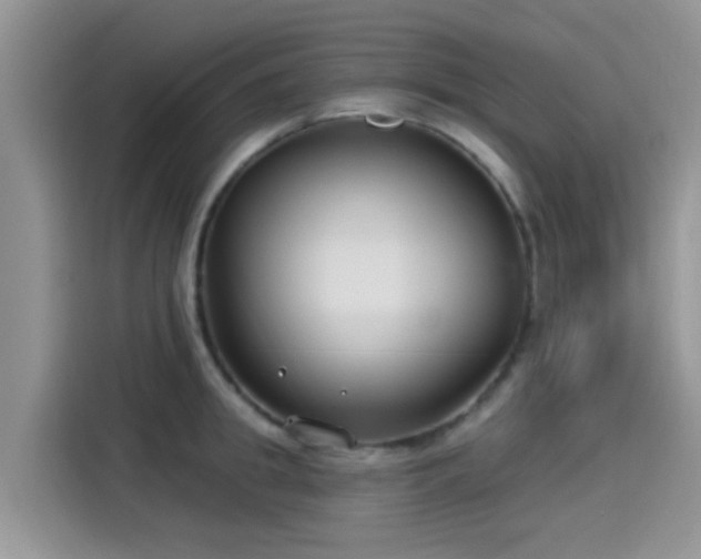 X0000115430949200911121100