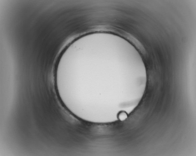 X0000115430950200911121100