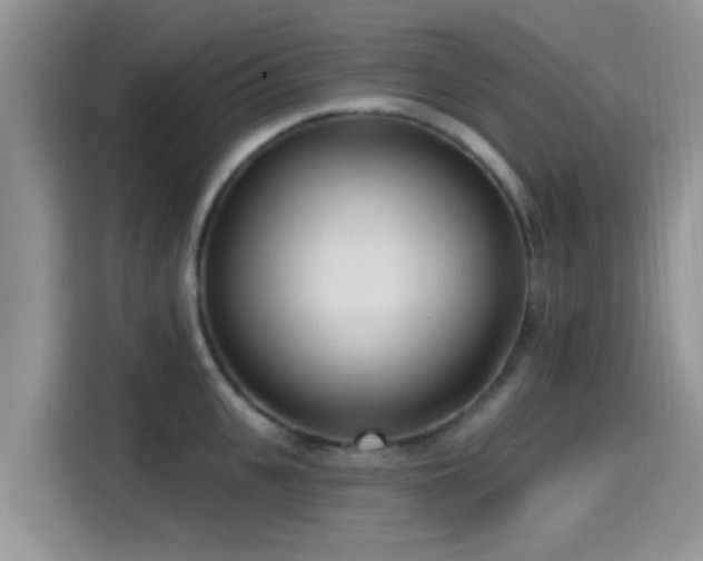 X0000115430951200911121100