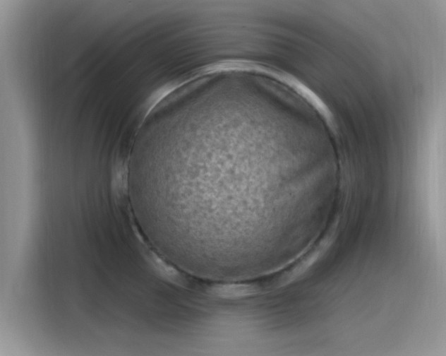 X0000115430953200911121100