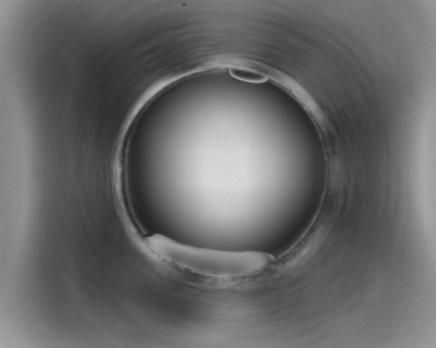 X0000115430955200911121100