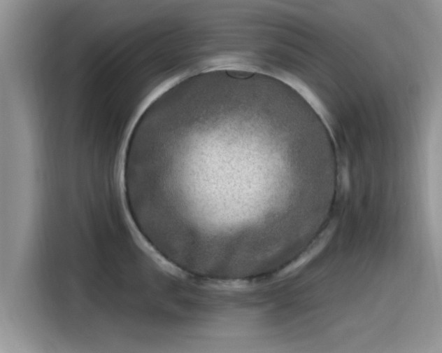 X0000115430957200911121100