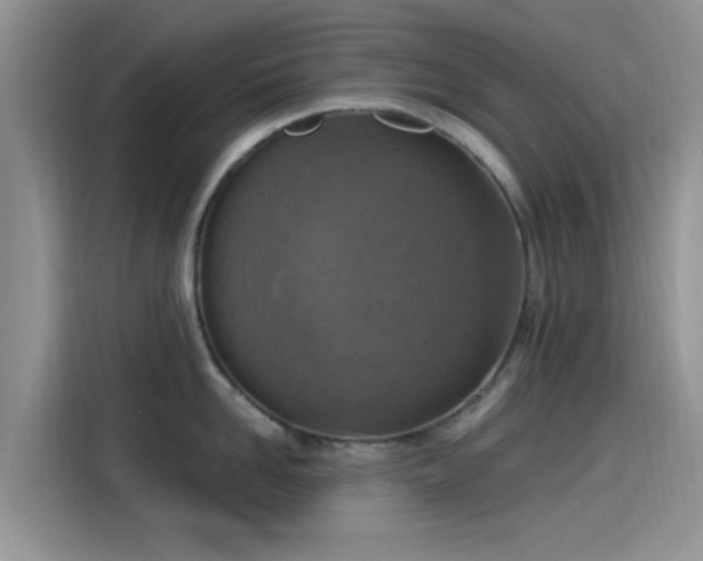 X0000115430958200911121100
