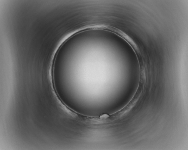 X0000115430959200911121100
