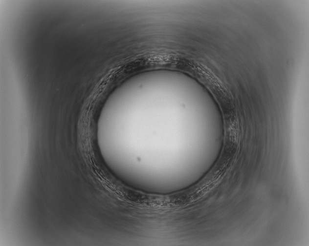 X0000115430961200911121100