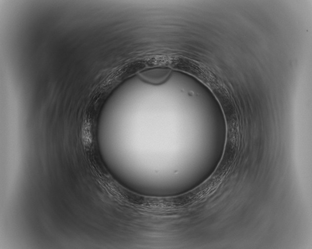 X0000115430962200911121100