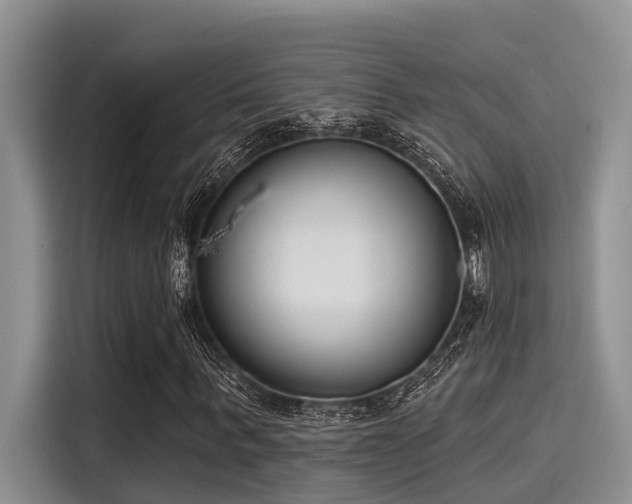 X0000115430963200911121100