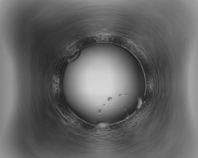 X0000115430964200911121100