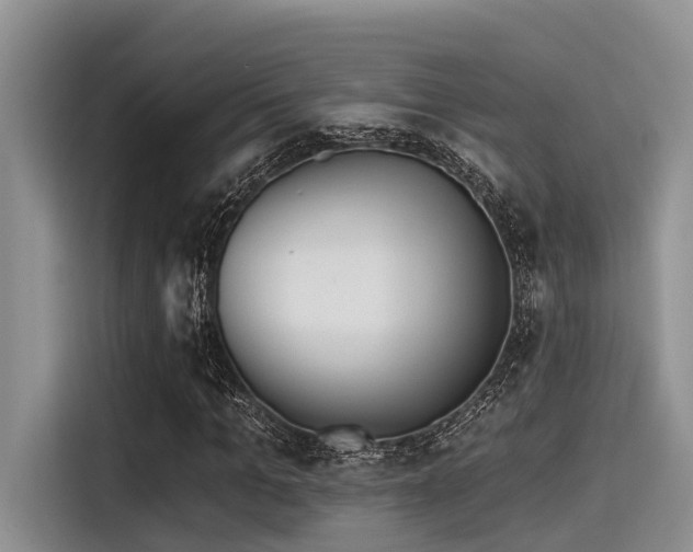 X0000115430965200911121100