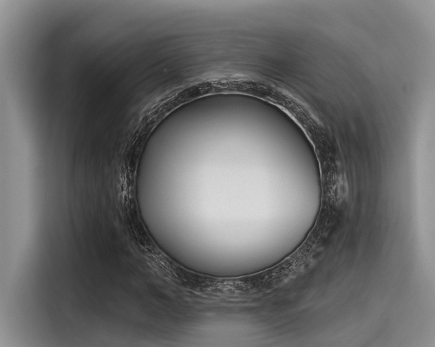 X0000115430966200911121100