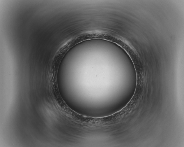 X0000115430967200911121100