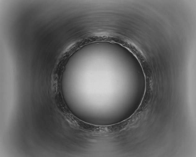 X0000115430968200911121100