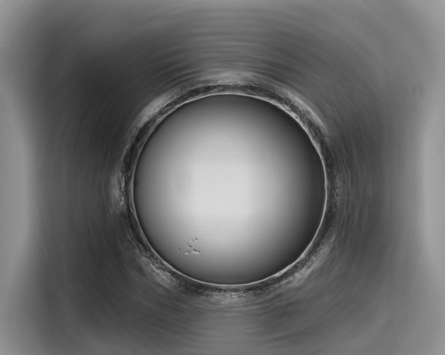X0000115430970200911121100