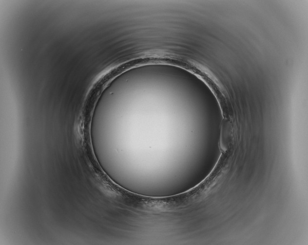 X0000115430971200911121100