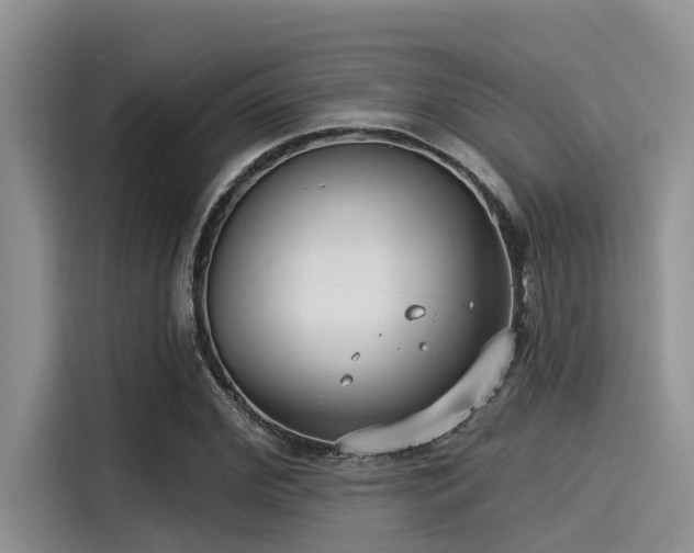 X0000115430972200911121100