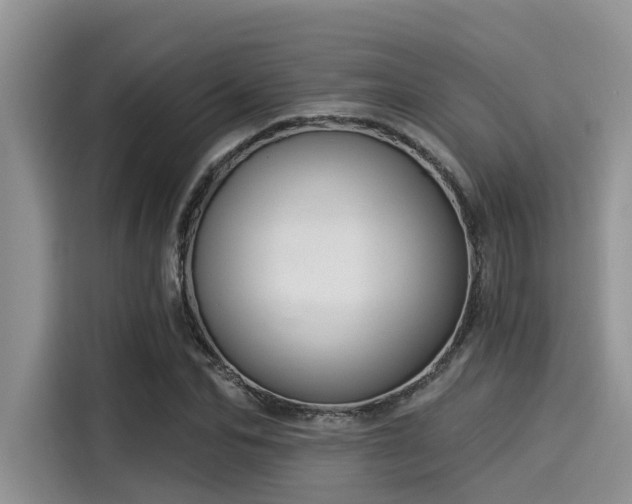 X0000115430974200911121100