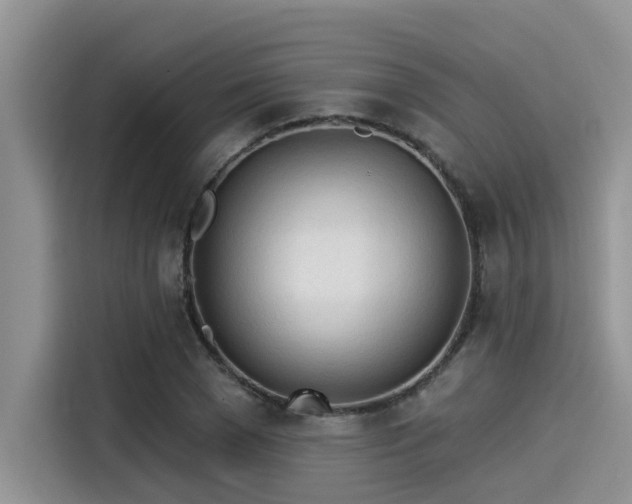 X0000115430977200911121100