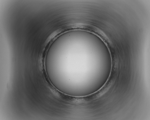 X0000115430978200911121100