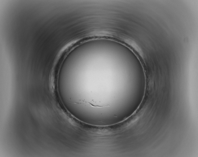 X0000115430979200911121100
