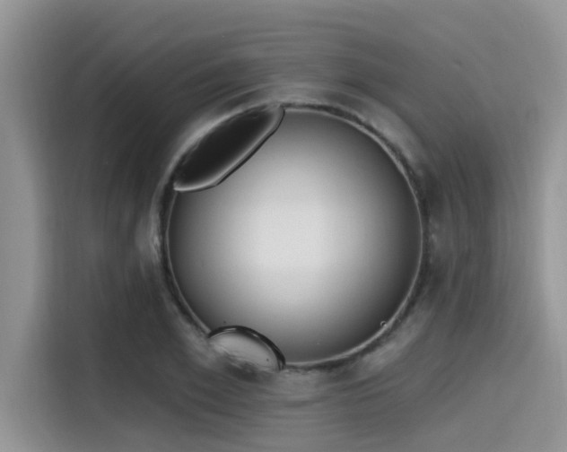 X0000115430981200911121100