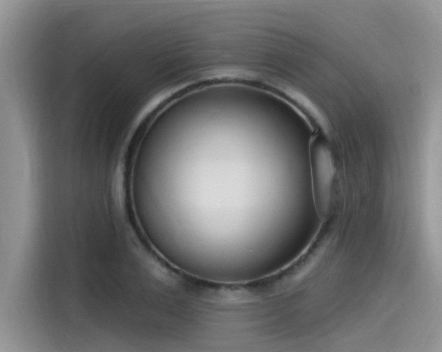 X0000115430983200911121100