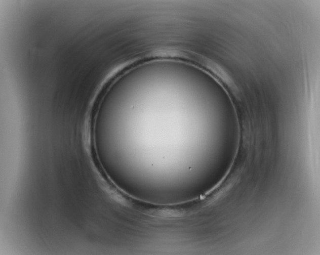 X0000115430984200911121100