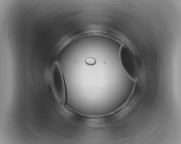 X0000115430985200911121100