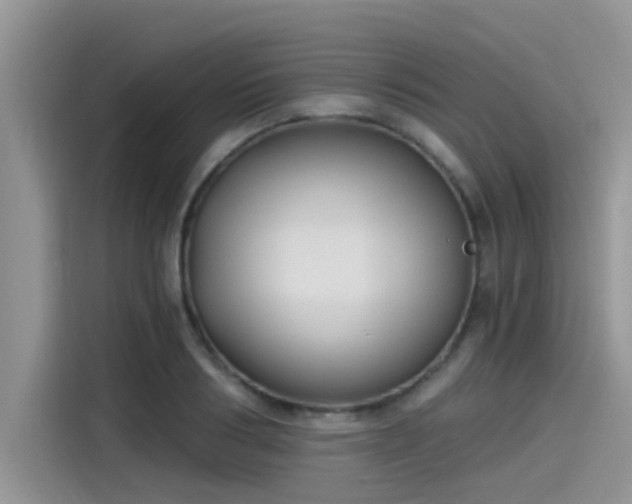 X0000115430986200911121059