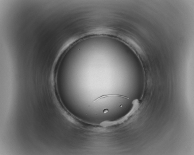 X0000115430990200911121059
