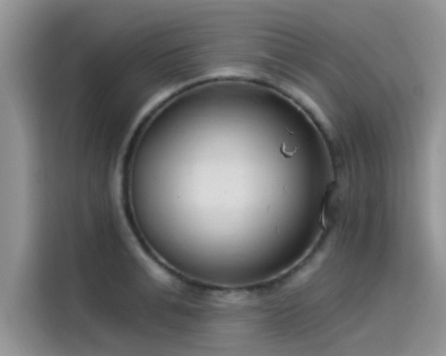 X0000115430991200911121059