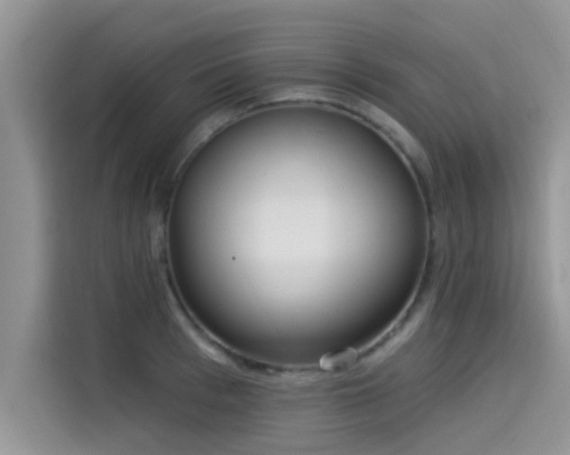 X0000115430993200911121059