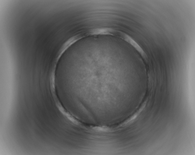 X0000115430994200911121059