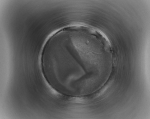 X0000115430995200911121059