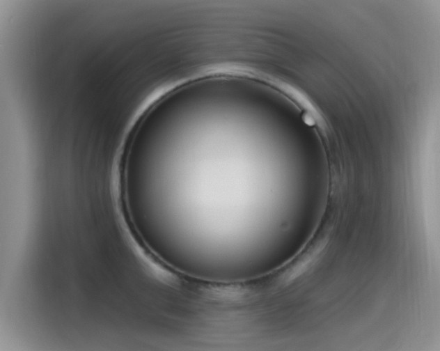 X0000115430999200911121059