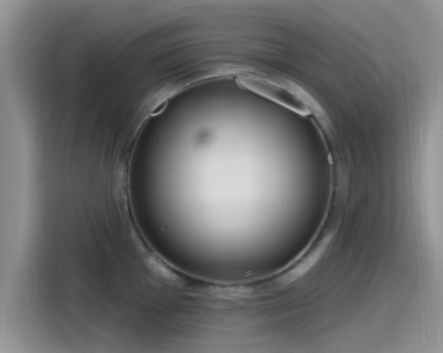 X0000115431001200911121059