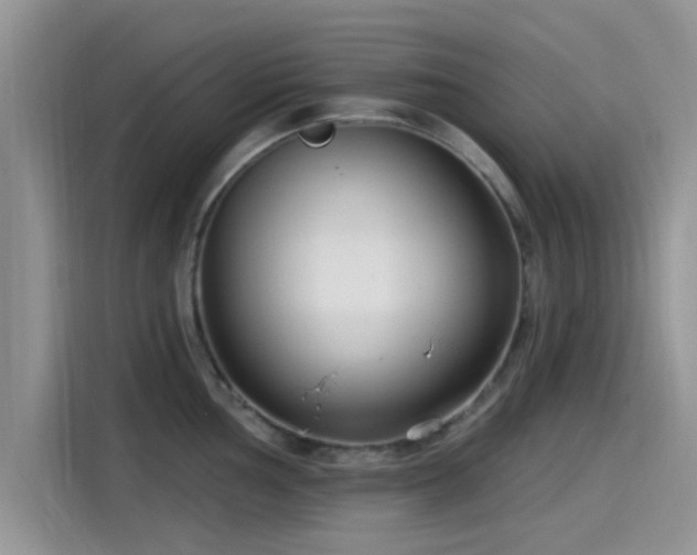 X0000115431002200911121059