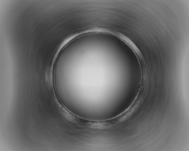 X0000115431004200911121059
