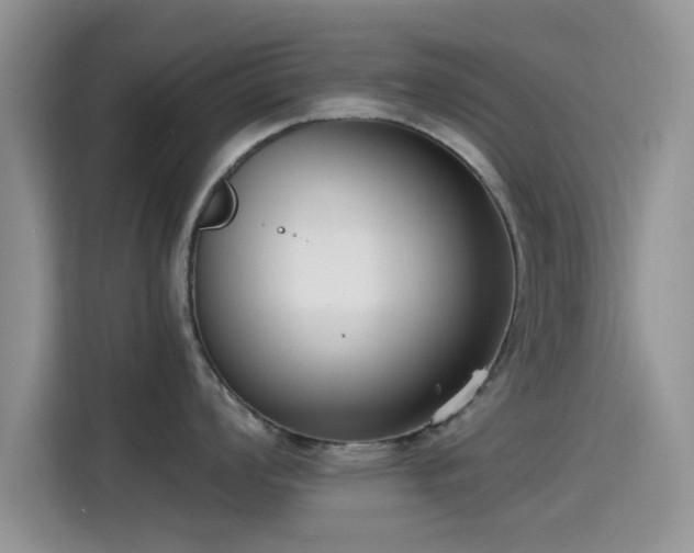 X0000115431008200911121059