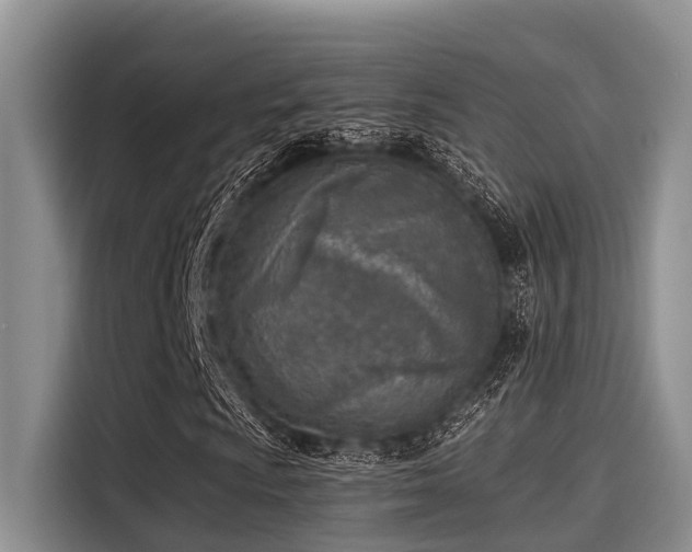 X0000115431009200911121059